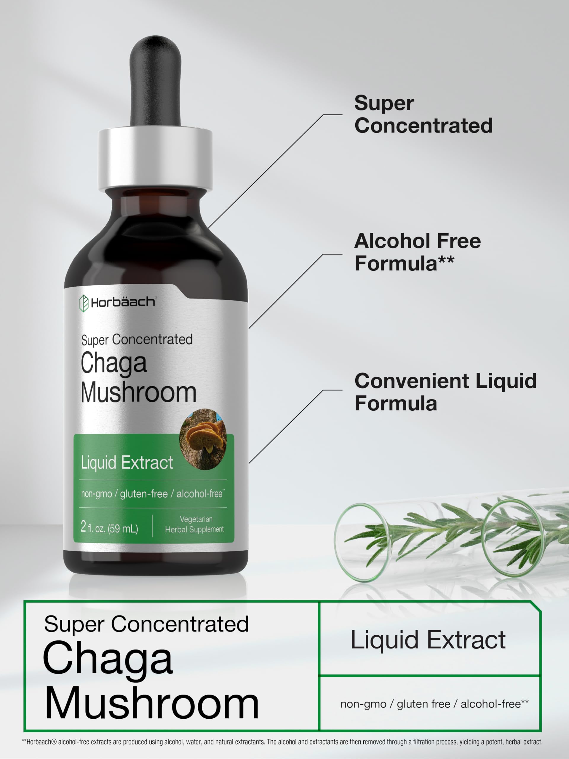 Horbaach Chaga Mushroom Extract | 2 Fl Oz | Vegetarian Liquid Drops | Alcohol Free Tincture | Non-GMO & Gluten Free - Image 4