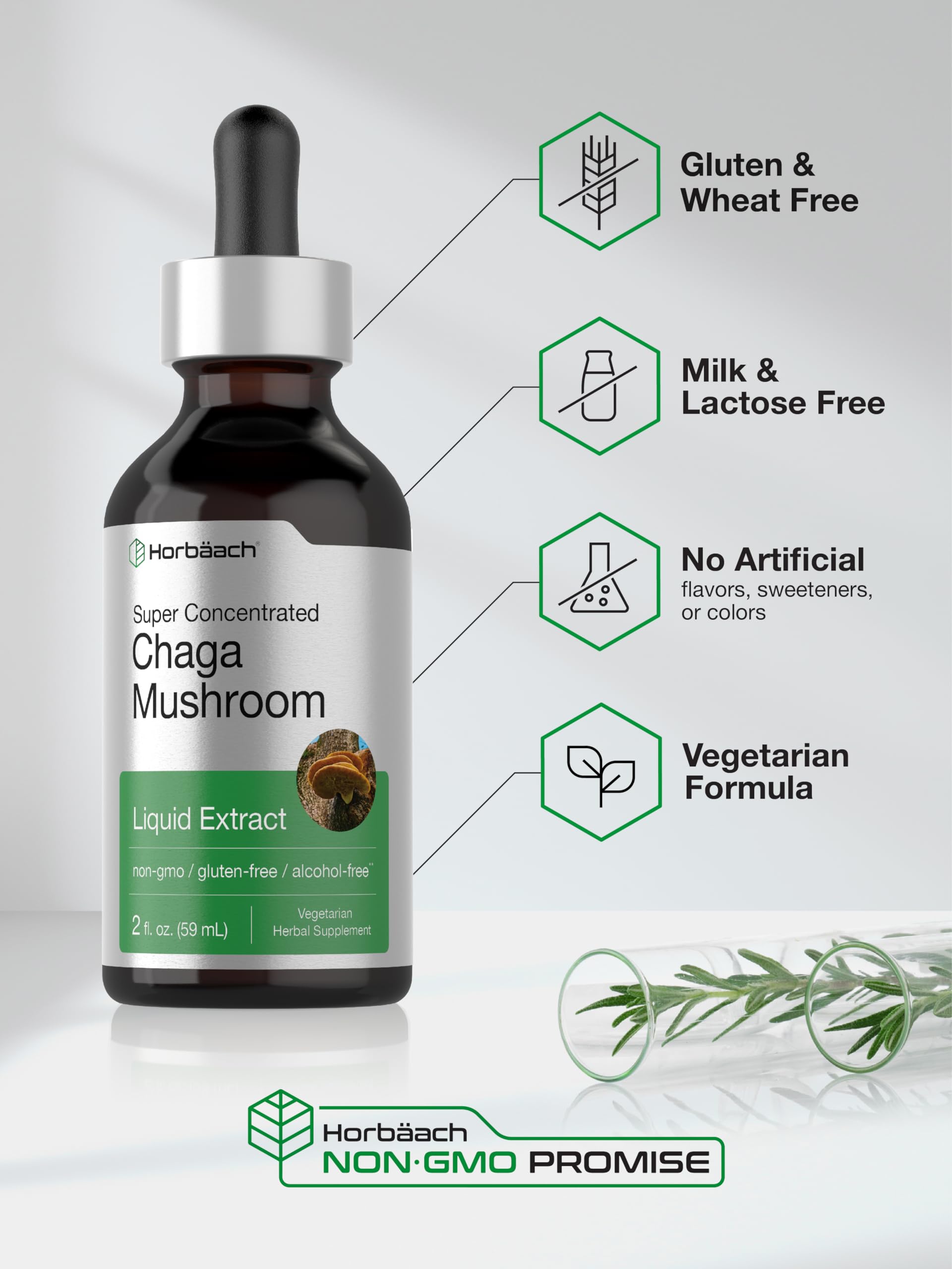 Horbaach Chaga Mushroom Extract | 2 Fl Oz | Vegetarian Liquid Drops | Alcohol Free Tincture | Non-GMO & Gluten Free - Image 5