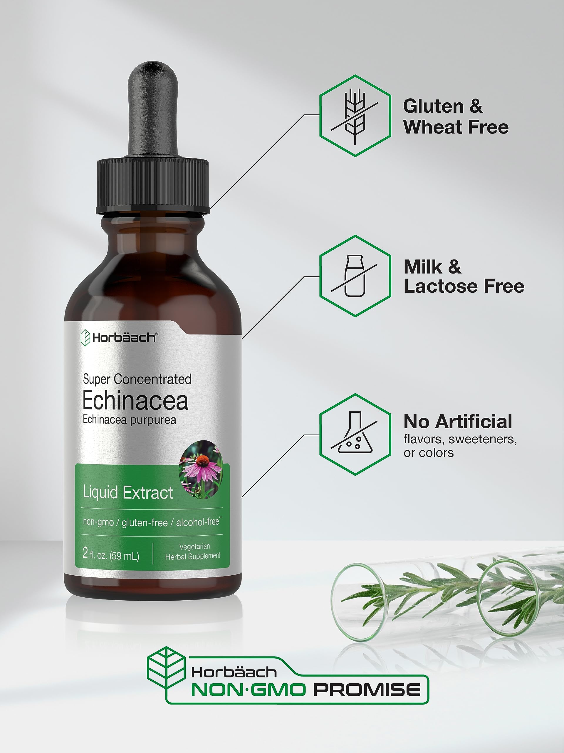 Horbaach Echinacea Drops Herb Tincture | 2 fl oz | Super Concentrated Root Extract | Alcohol Free Liquid | Vegetarian, Non-GMO & Gluten Free Supplement - Image 5