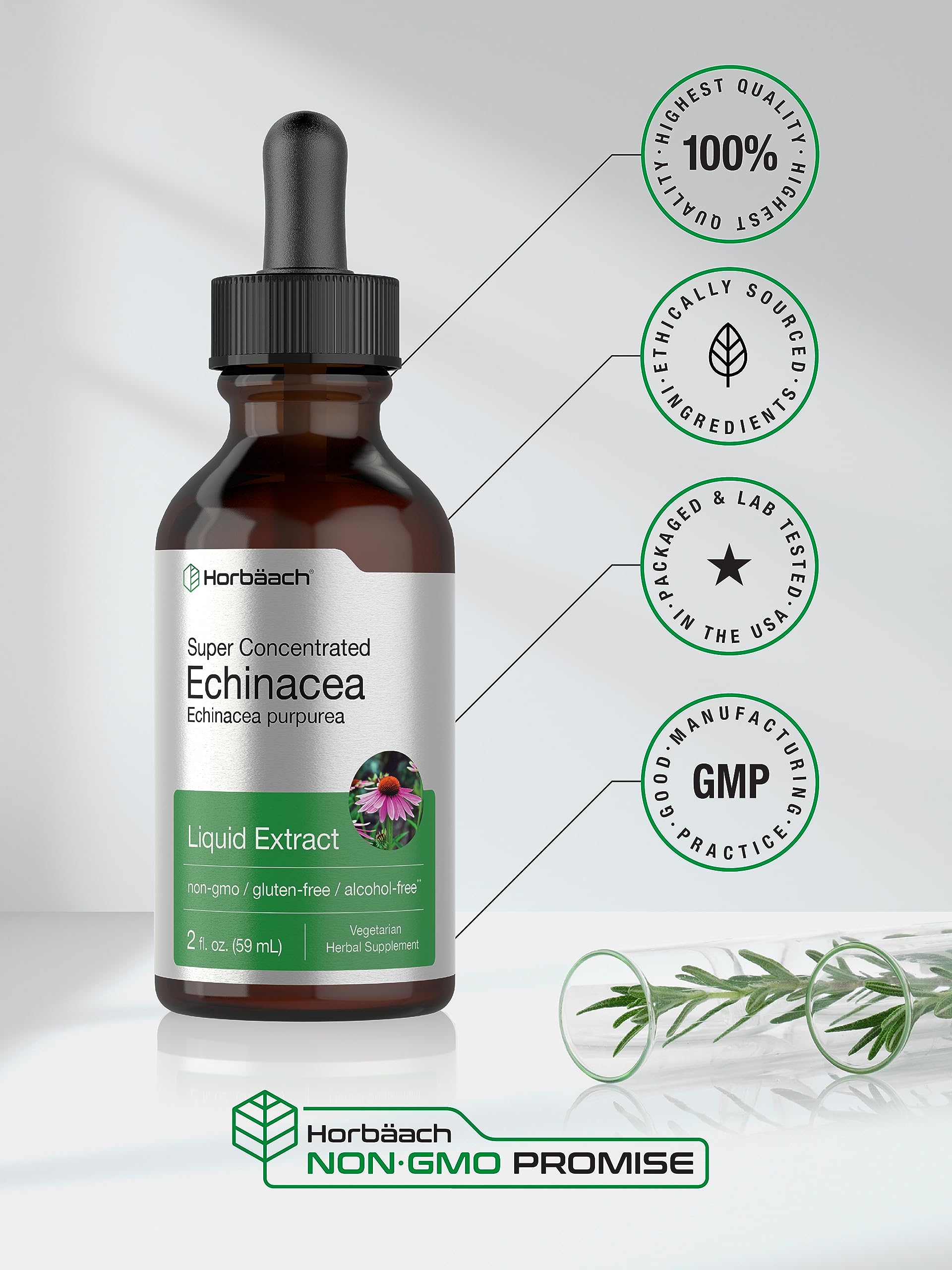 Horbaach Echinacea Drops Herb Tincture | 2 fl oz | Super Concentrated Root Extract | Alcohol Free Liquid | Vegetarian, Non-GMO & Gluten Free Supplement - Image 6