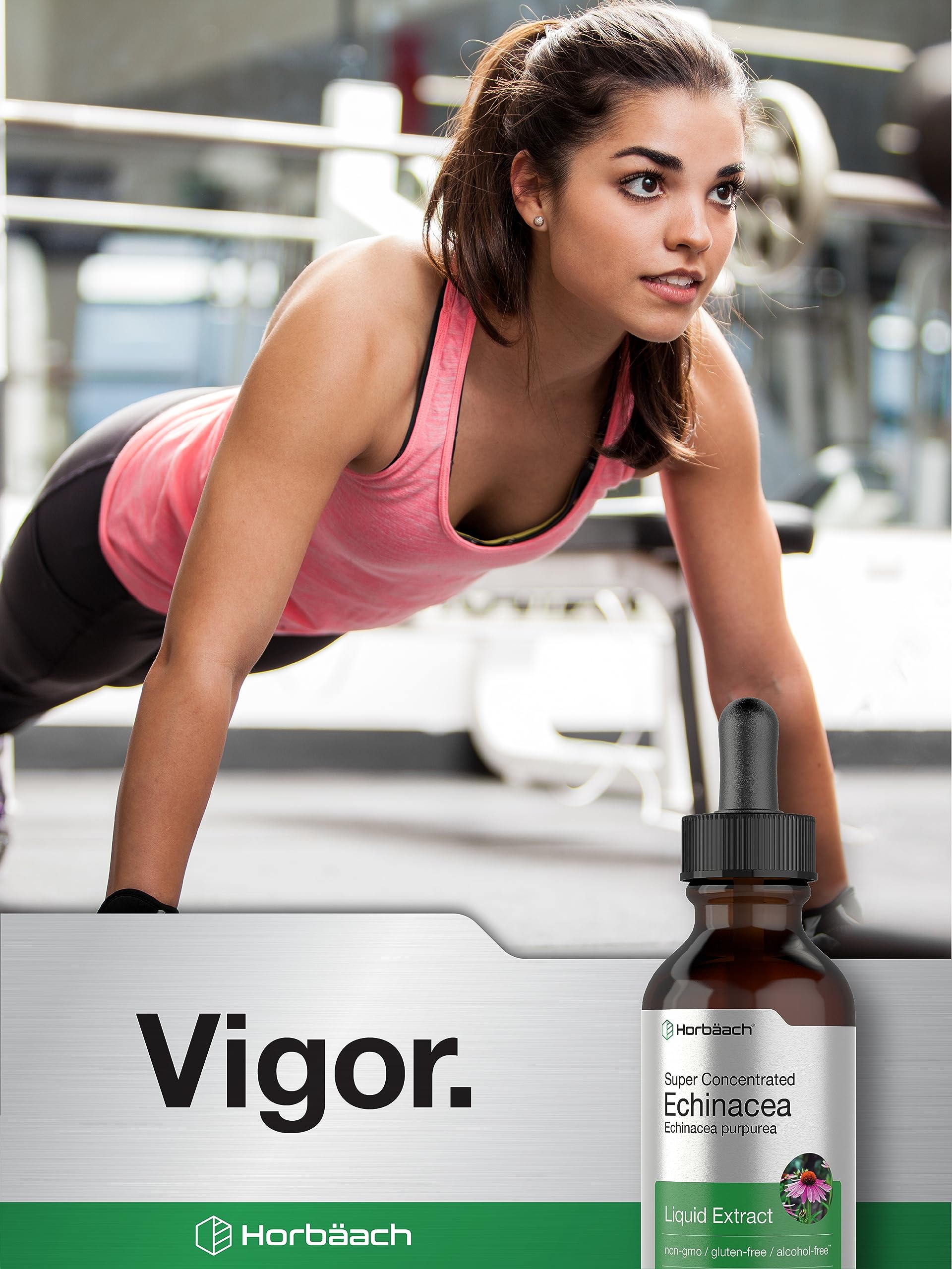 Horbaach Echinacea Drops Herb Tincture | 2 fl oz | Super Concentrated Root Extract | Alcohol Free Liquid | Vegetarian, Non-GMO & Gluten Free Supplement - Image 7