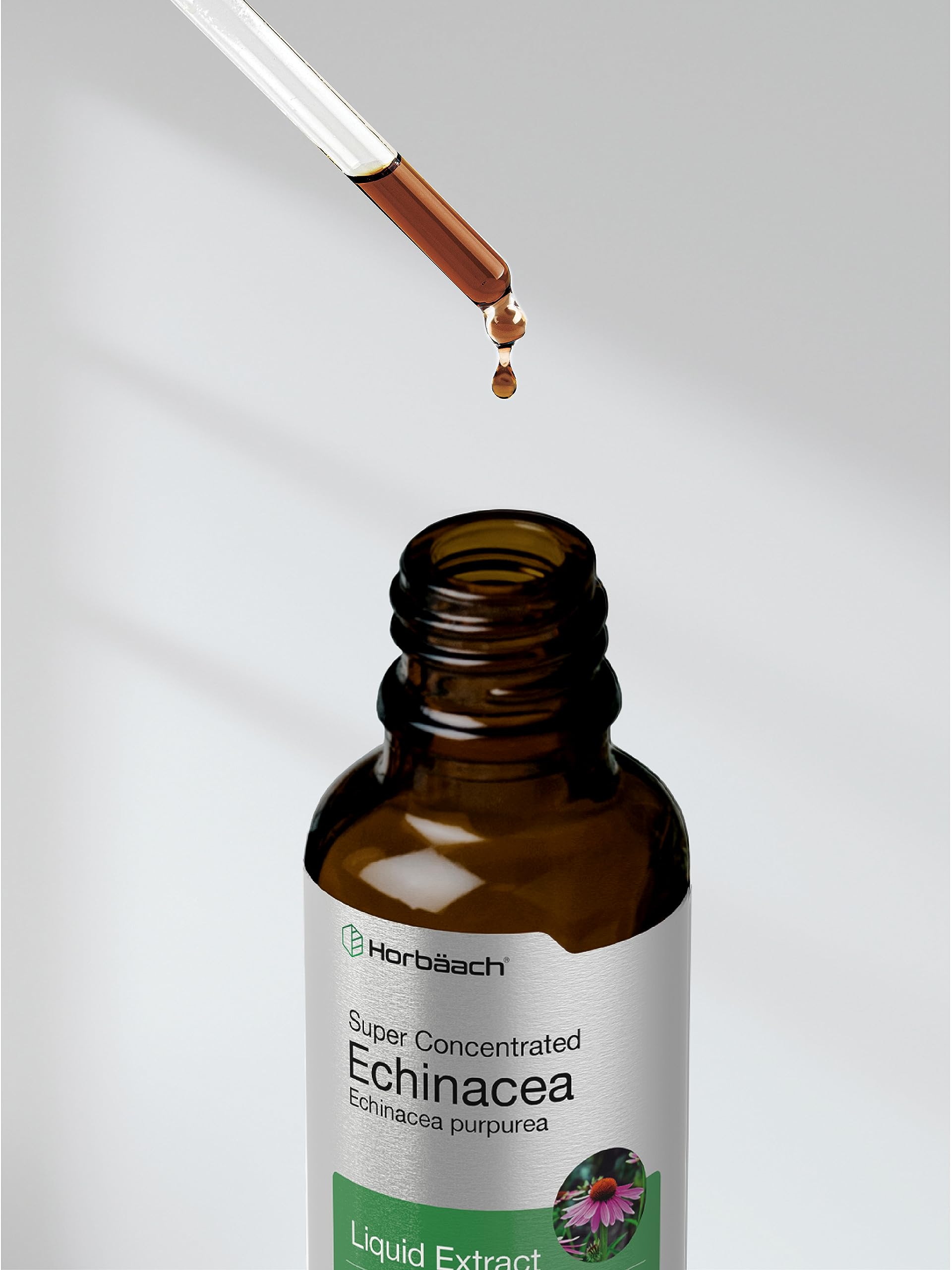 Horbaach Echinacea Drops Herb Tincture | 2 fl oz | Super Concentrated Root Extract | Alcohol Free Liquid | Vegetarian, Non-GMO & Gluten Free Supplement - Image 8