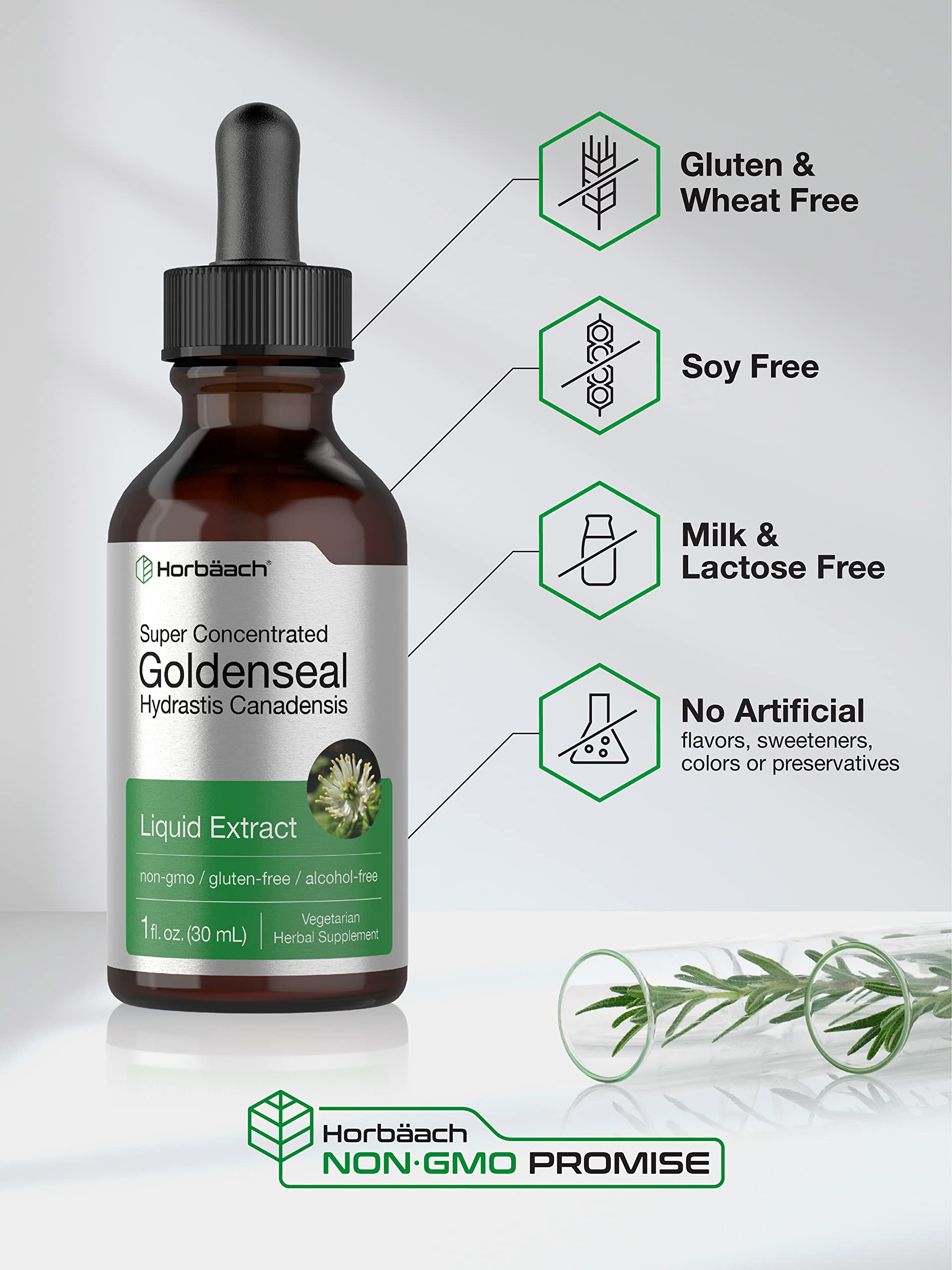 Horbaach Goldenseal Tincture Liquid Extract | 1 fl oz | Hydrastis Canadensis | Alcohol Free | Vegetarian, Non-GMO & Gluten Free - Image 4