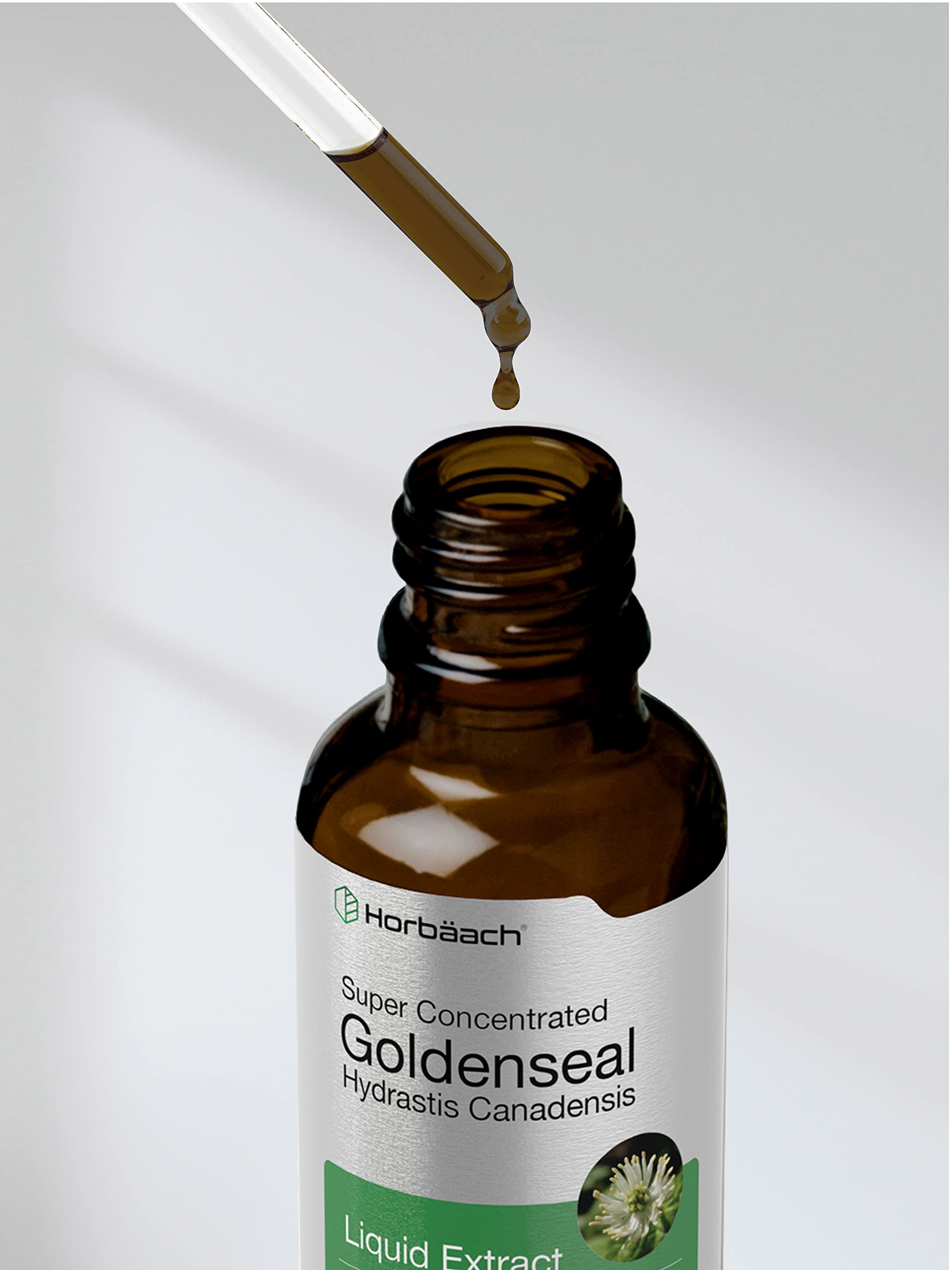 Horbaach Goldenseal Tincture Liquid Extract | 1 fl oz | Hydrastis Canadensis | Alcohol Free | Vegetarian, Non-GMO & Gluten Free - Image 7