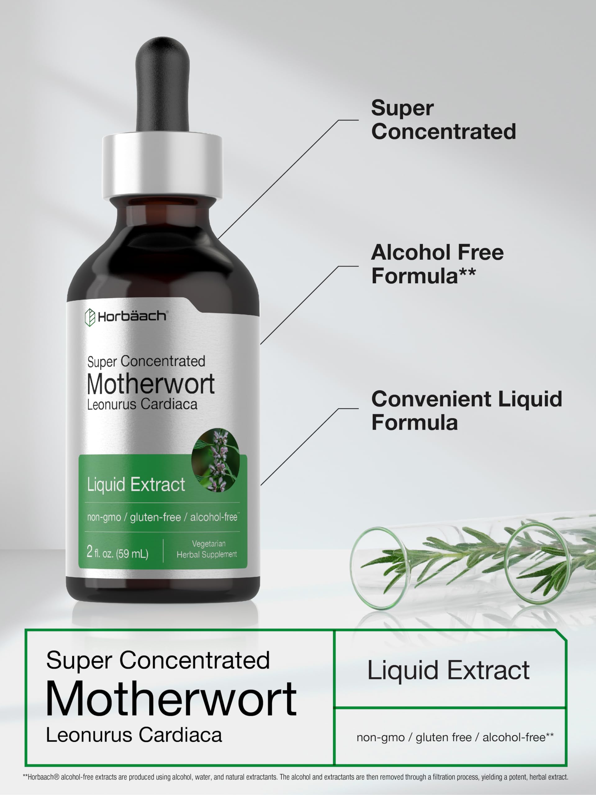 Horbaach Motherwort Herb Extract Tincture | 2 oz | Low Alcohol Liquid | Vegetarian | Leonurus Cardiaca | Non-GMO, Gluten Free - Image 4