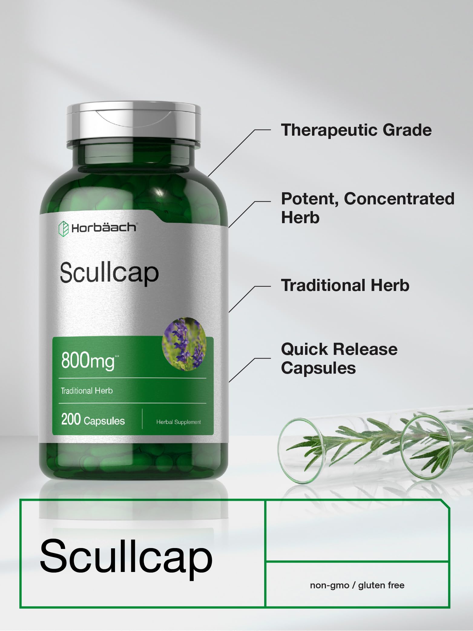 Horbaach Skullcap Herb Extract | 200 Capsules | Scullcap Supplement for Men and Women | Scutellaria Baicalensis | Non-GMO and Gluten Free - Image 3